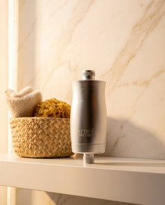 Shower Filter